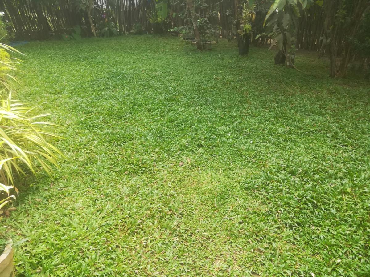 דיקוולה Bamboo Home Stay Hiriketiya מראה חיצוני תמונה