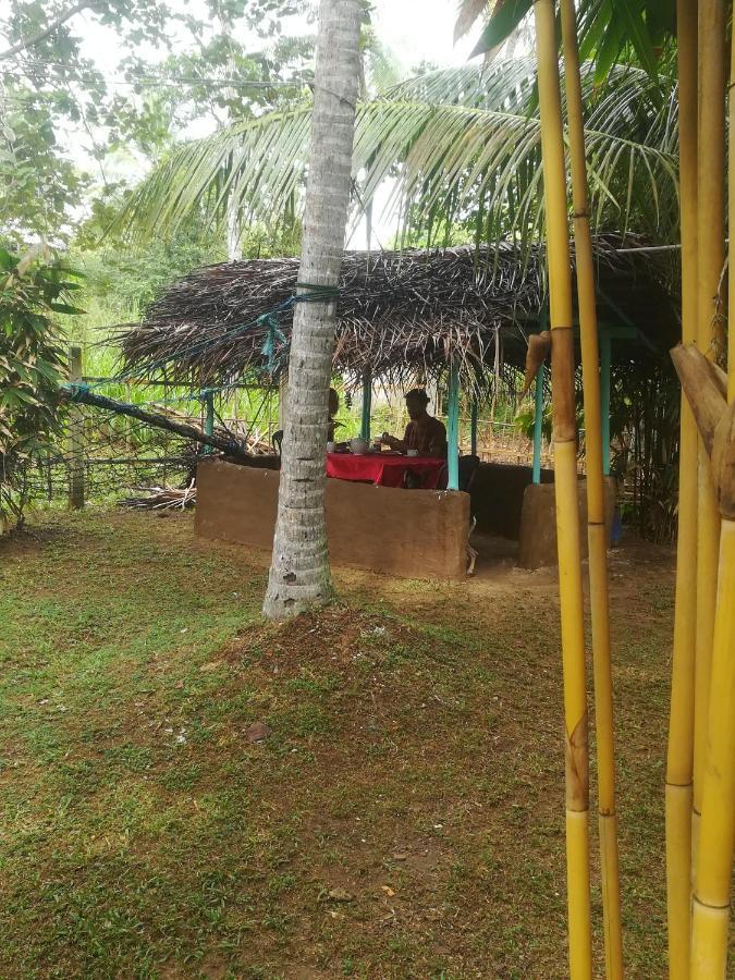 דיקוולה Bamboo Home Stay Hiriketiya מראה חיצוני תמונה