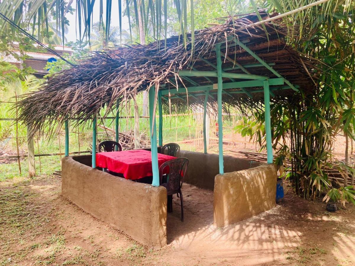 דיקוולה Bamboo Home Stay Hiriketiya מראה חיצוני תמונה