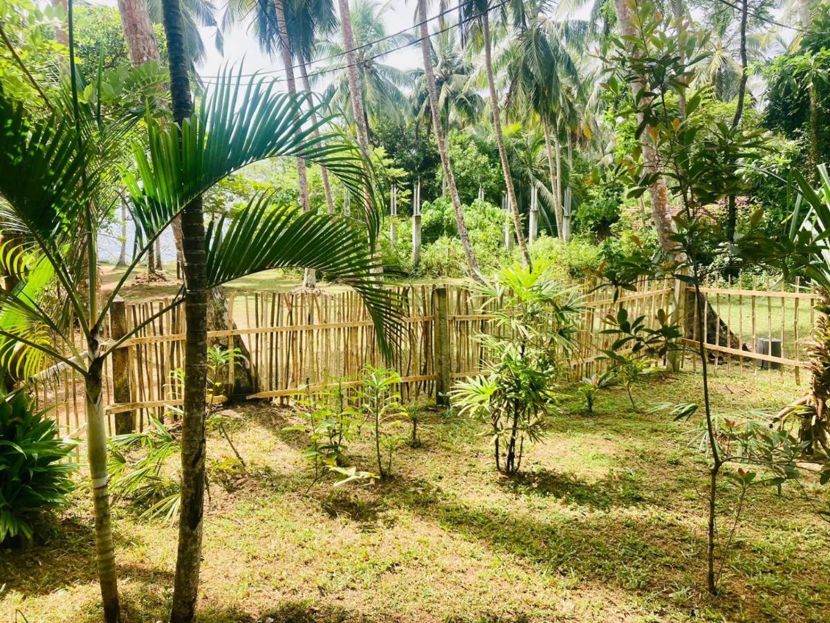 דיקוולה Bamboo Home Stay Hiriketiya מראה חיצוני תמונה