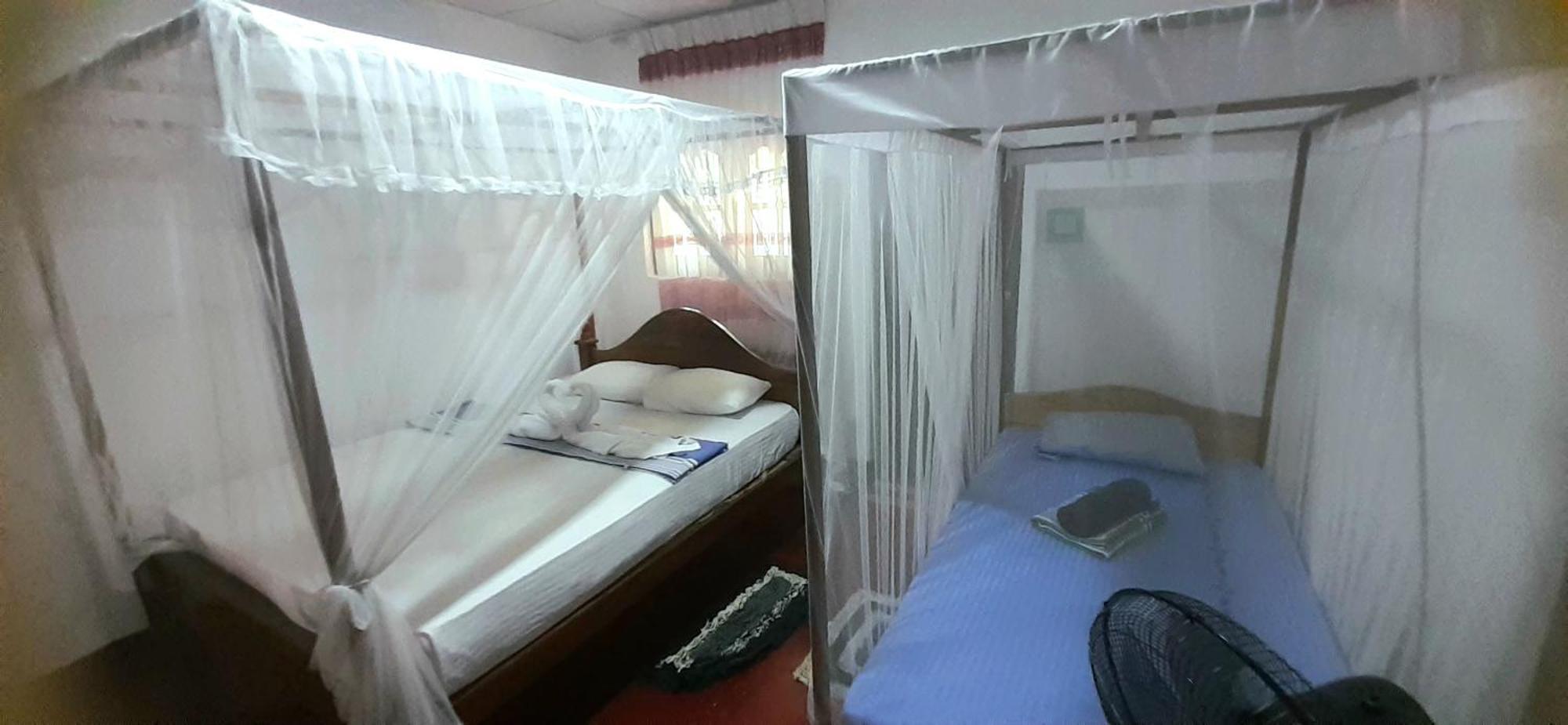 דיקוולה Bamboo Home Stay Hiriketiya מראה חיצוני תמונה