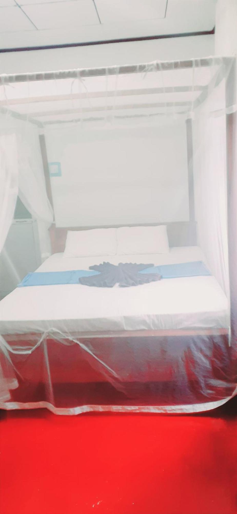 דיקוולה Bamboo Home Stay Hiriketiya חדר תמונה